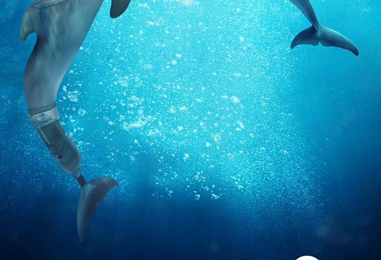 Dolphin Tale 2 (2014)