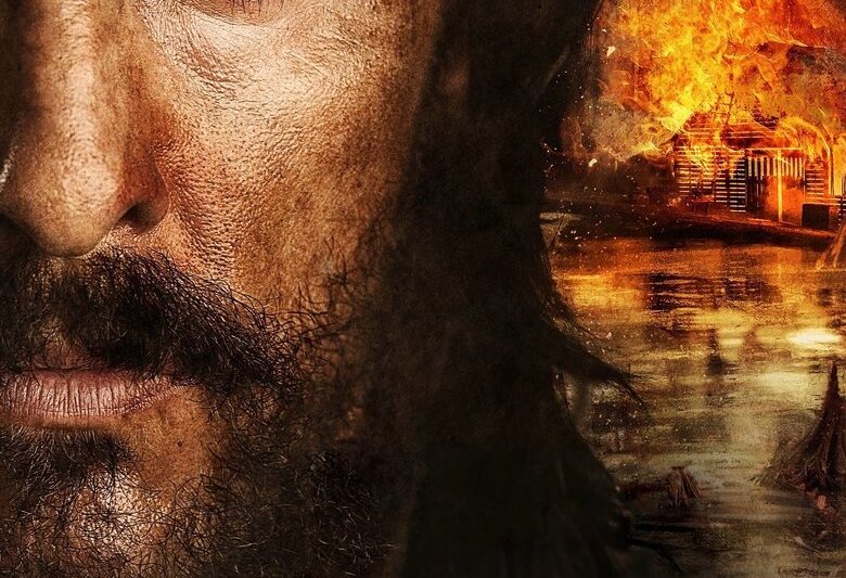 Free State of Jones (2016)