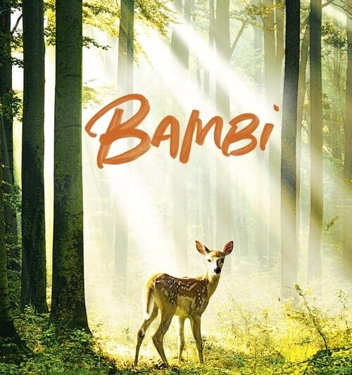Bambi: A Life in the Woods (2024)